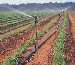 滴灌是通过安装在毛管上的滴箭、滴头、滴灌带或其他孔口式灌水器将水一滴一滴地、均匀而又缓慢地滴入作物根区附近土壤中的灌水形式